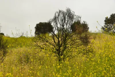 DSC_6497 (Large).JPG